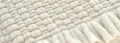 Coral Studio P Carpets